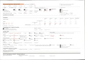 Image représentant France Alsace, Strasbourg, Une rue pavoisée : la Kaufhausgasse