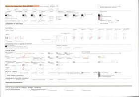 Image représentant France Alsace, Strasbourg, Le Pavoisement des quais, près de la Synagogue