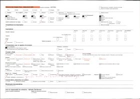 Image représentant France, Blanquefort, Cep : Cavernet-Sauvignon (29 ans)