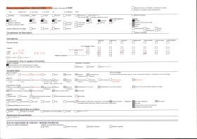 Image représentant La Statue de Notre-Dame de France, au sommet du rocher Corneille