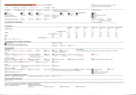 Image représentant Un couple avec enfant dans un champs de narcisses