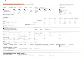 Image représentant Une forêt de chênes liège sur la route de Bayonne à Cap Breton