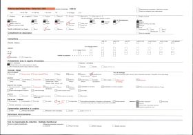 Image représentant Le pont Jacques-Gabriel, au second plan la cathédrale