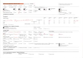 Image représentant La cheminée du salon d'Honneur, dans les appartements royaux de l'aile François 1er du château
